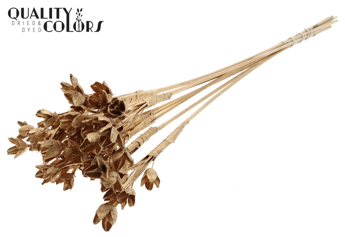 <h4>Bakuli On Stem Antique Gold</h4>