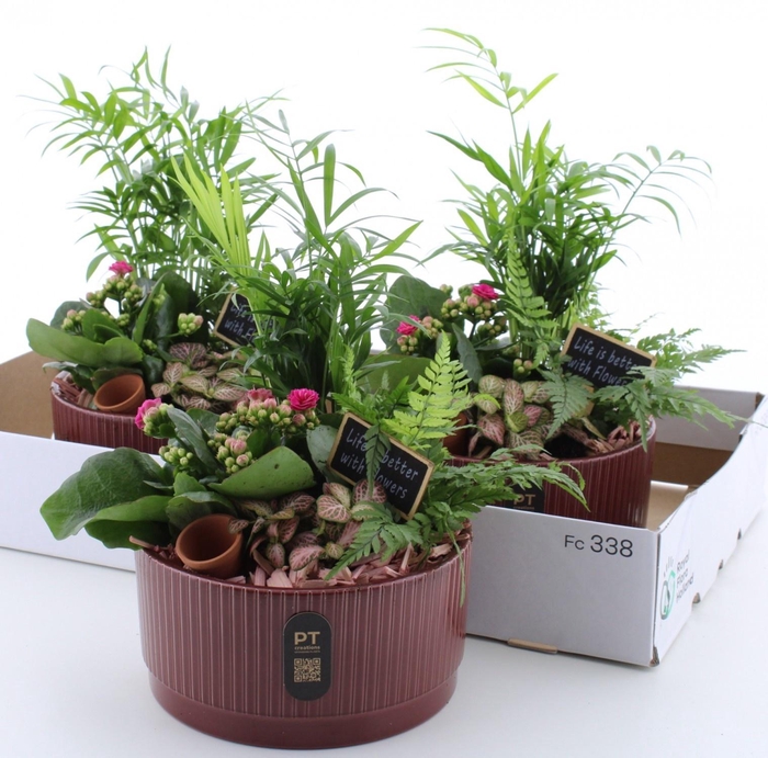 <h4>ARR KAMERPL</h4>