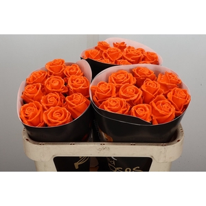 Wax-Rozen Wax Oranje w6