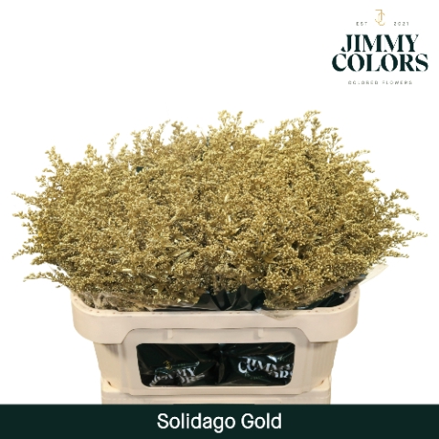 Solidago L70 Mtlc. goud