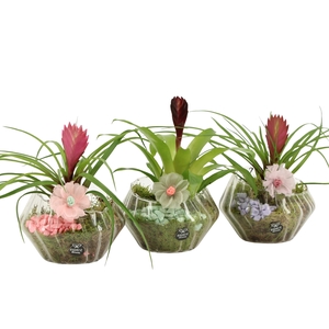 21911: Contradiction arrangement