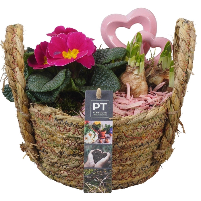 <h4>PTVO3632 Arrangement Valentine Outdoor in rieten mand</h4>