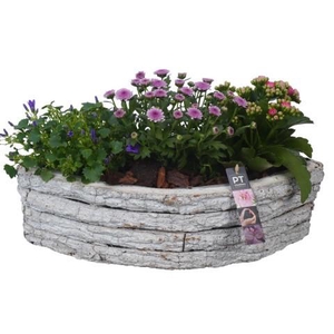 PTSO6028 Arrangement Summer Outdoor in houten boot