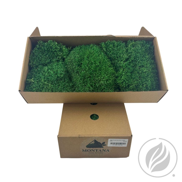 <h4>Egelmos Preserved Midden Groen X 8</h4>