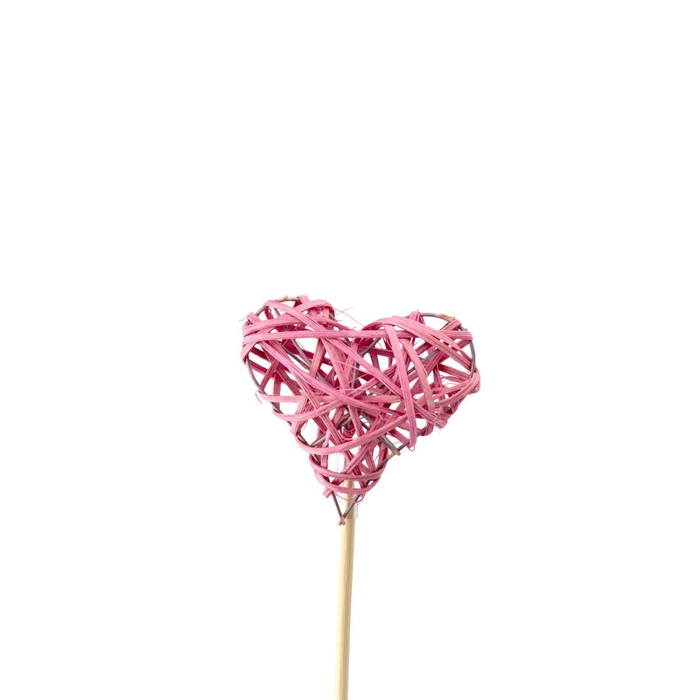 <h4>Promo 50cm Heart woody 7.5cm</h4>