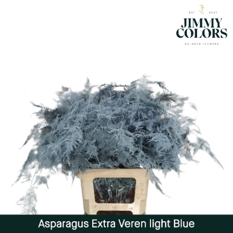 <h4>Asp extra veren Light blue</h4>