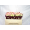 R GR BELLE ROSE