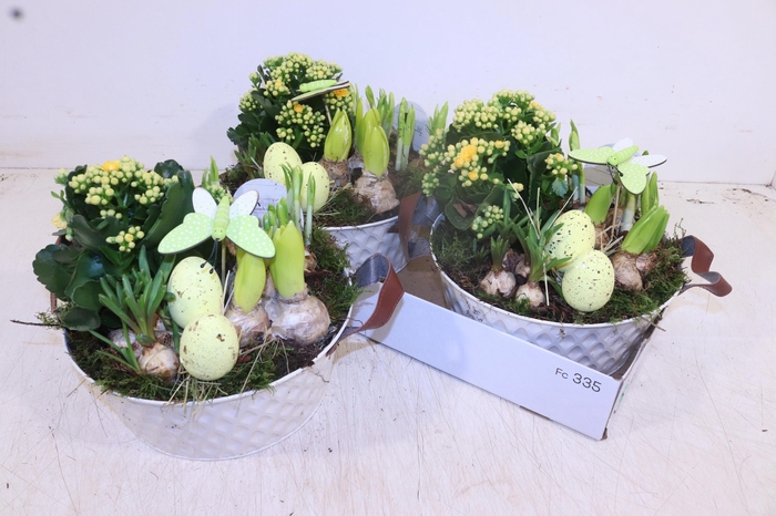 <h4>ARR PL IN SCHAAL</h4>