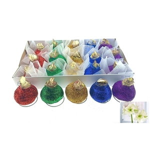 BLOEMBOL HIPPEASTRUM