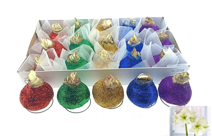 <h4>BLOEMBOL HIPPEASTRUM</h4>