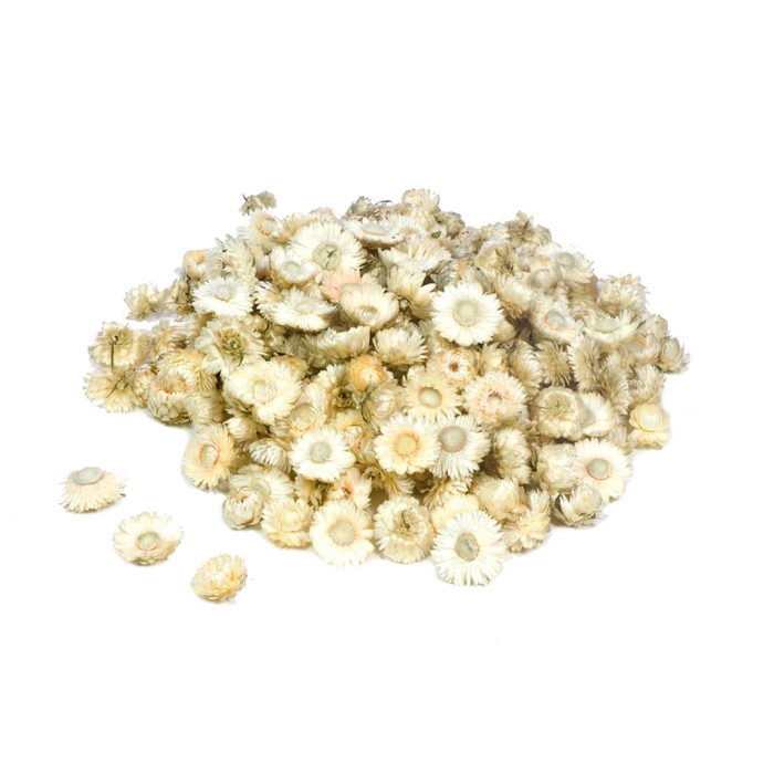 <h4>Helichrysum Heads Kg Natural White</h4>