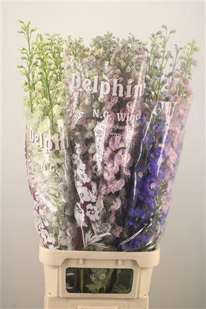 <h4>Delph El Dewi Mixed</h4>