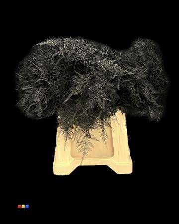 <h4>ASP 1E BLACK</h4>