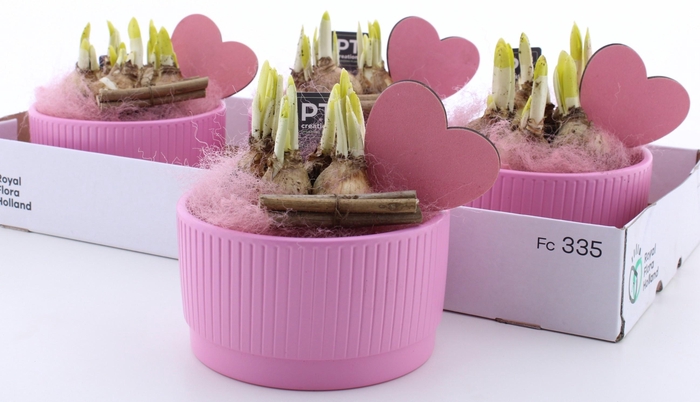 <h4>ARR N TETE A TETE</h4>