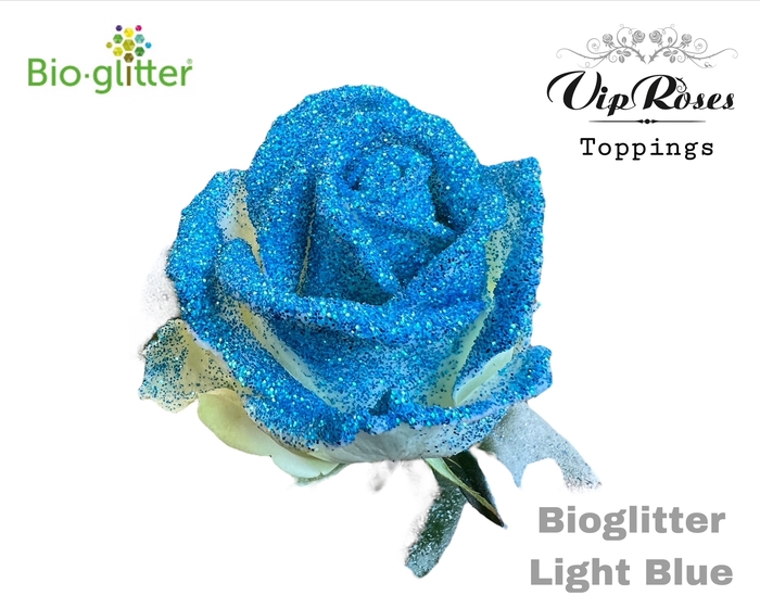 <h4>R GR BIO GLITTER LIGHT BLUE x20</h4>