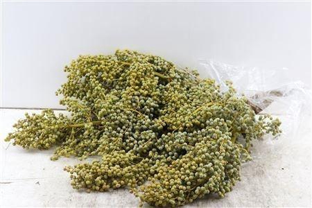 <h4>DADELS PHX PER KILO</h4>