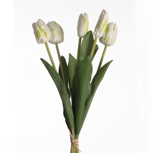 Af Tulip Par Bnd X5 L40cm Whit