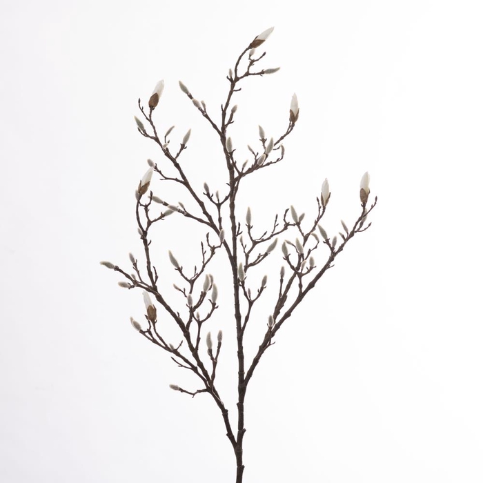 AF Magnolia Bud L135cm Cream