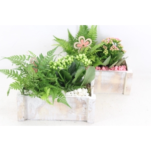 arr2 PL - Hout rechth. wit x4 - roze/wit