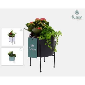 Keramieken potjes op metalen pootjes met Arrangement