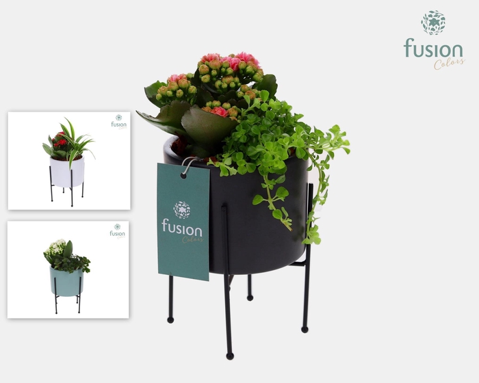 <h4>Keramieken potjes op metalen pootjes met Arrangement</h4>