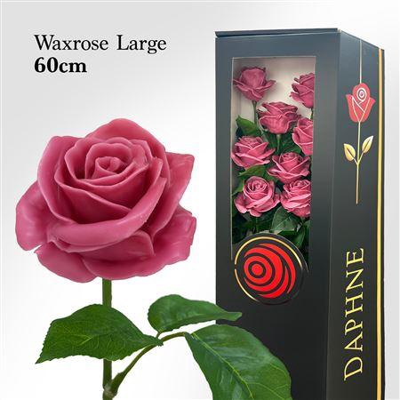 <h4>Wax Rose L Old Pink 60cm</h4>