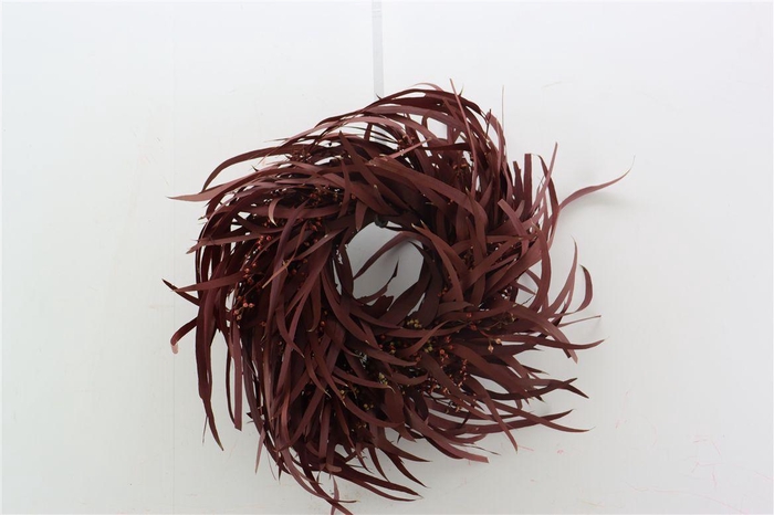 <h4>Wr Pres Euca Nicoly Red 30cm</h4>