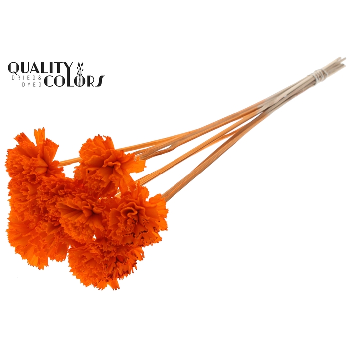 <h4>Shola Karnish Flower 6cm on stem Orange</h4>