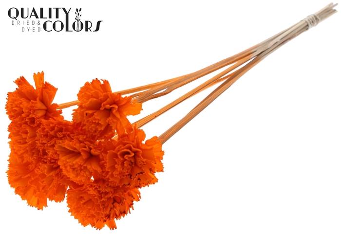 Shola Karnish Flower 6cm on stem Orange