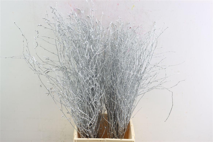 <h4>Berk 70cm Gl Zilver Pbs</h4>