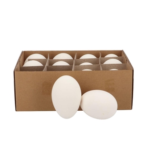 Eggs Ganzen Naturel Per 12