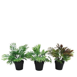 Sale Pot Palm d30*26cm 3 ass.