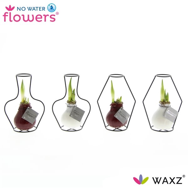 <h4>No Water Flowers Waxz® Formz Classic mix</h4>