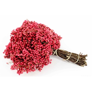Schin M Pink Medium Bunch
