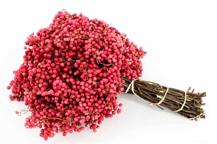 <h4>Schin M Pink Medium Bunch</h4>