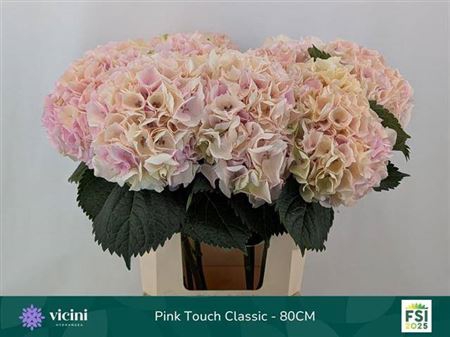 <h4>Hydr M My Pinktou Cl Extra</h4>