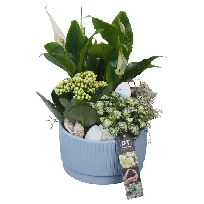 <h4>Arr.    Planten  L%</h4>