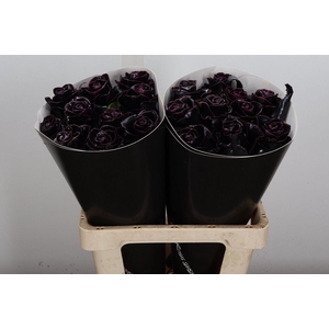 Wax-Rozen Wax Classic Black