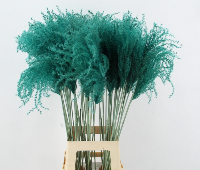 <h4>DROOGBL BEWERKT H%</h4>