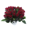 Bouquet Mono Rozen Rood x10 50cm