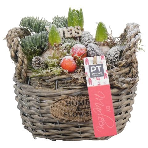<h4>PTHCH6712 Arrangementen Hyacinthus</h4>