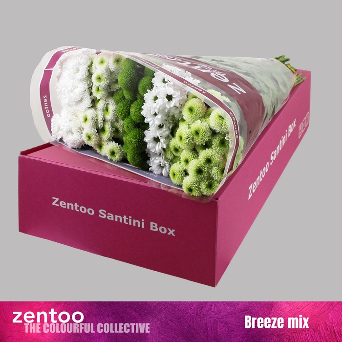 <h4>CHR S MIX BREEZE</h4>