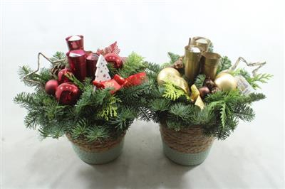 <h4>2. Mand Rd/gd Puntlicht</h4>