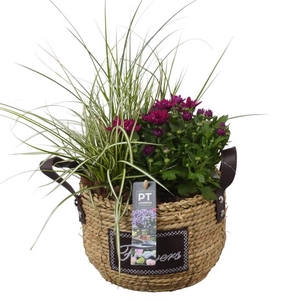 PTSO7211 Arrangementen Tuinplanten