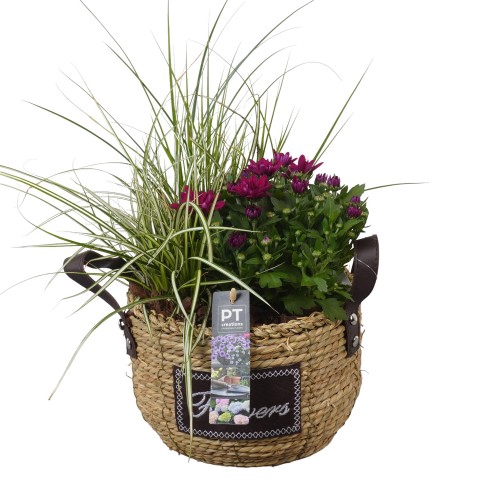 <h4>PTSO7211 Arrangementen Tuinplanten</h4>