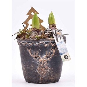 Cement rendier kop 13.5cm