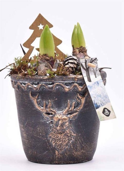 <h4>Cement rendier kop 13.5cm</h4>