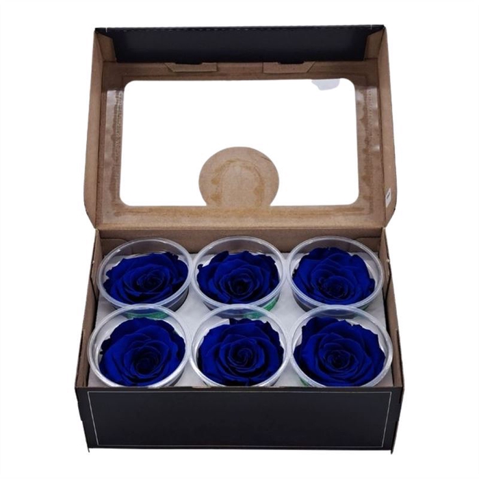 <h4>Rosa Preserved Xl Blu 03</h4>