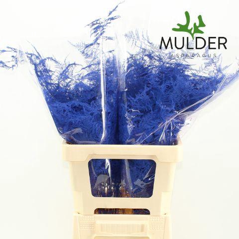 <h4>Asp Extra Klb Blue</h4>