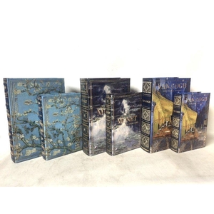 Book Set Mix of 3 30x21x7cm va